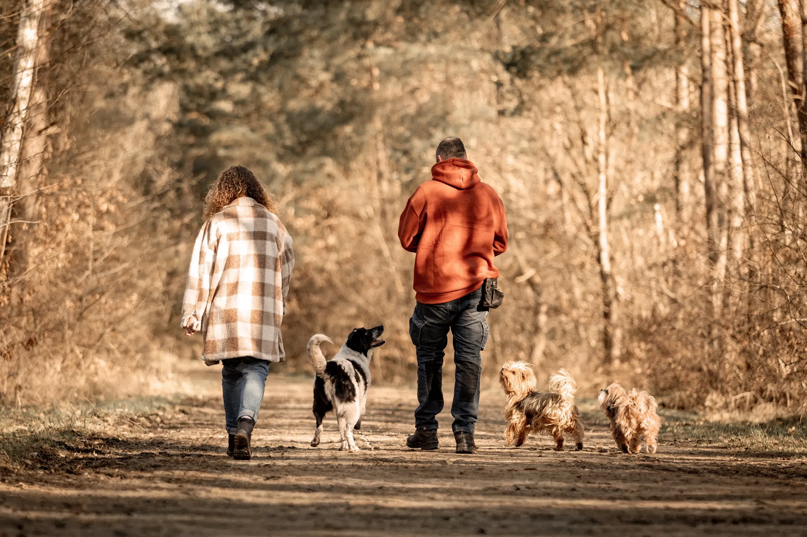 Meik und Sandra gehen mit ihren Hunden von hinten gesehen einen Waldweg entlang